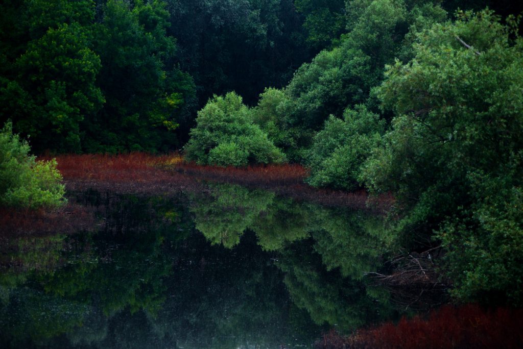 Flood