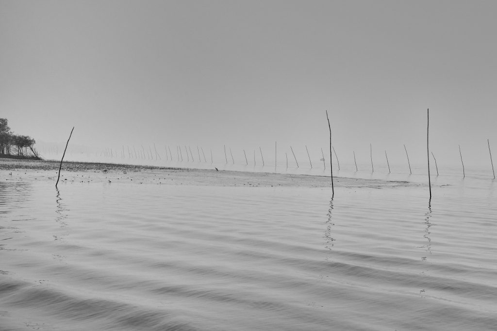 Foggy morning on Matla river