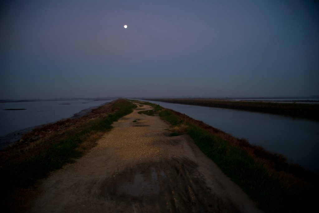 Percorso notturno con luna