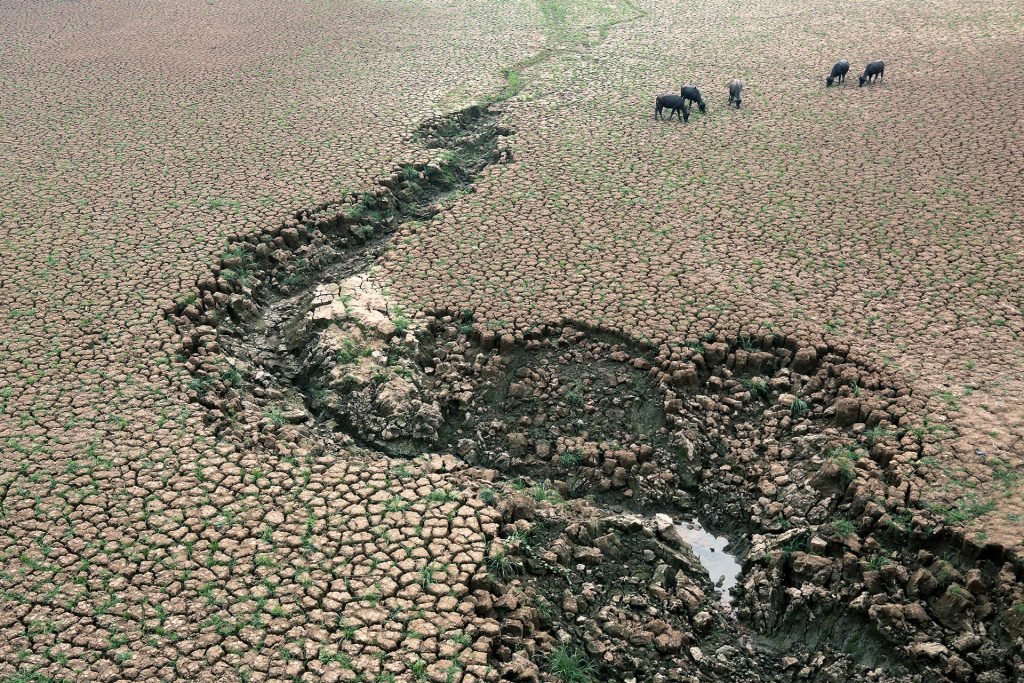 Dry Land