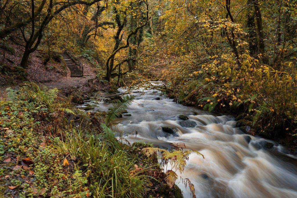 Dun Na Ri Forest Ireland