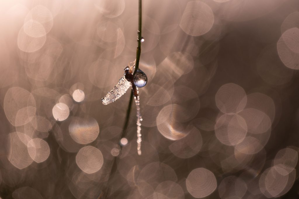 Ephemerality