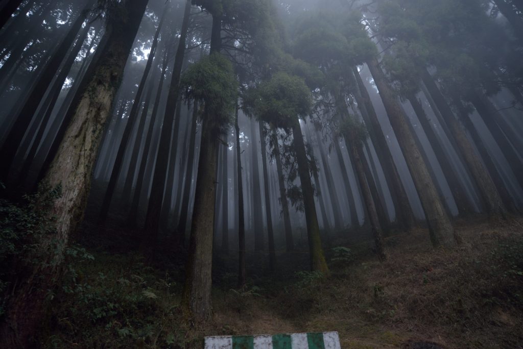 FOG