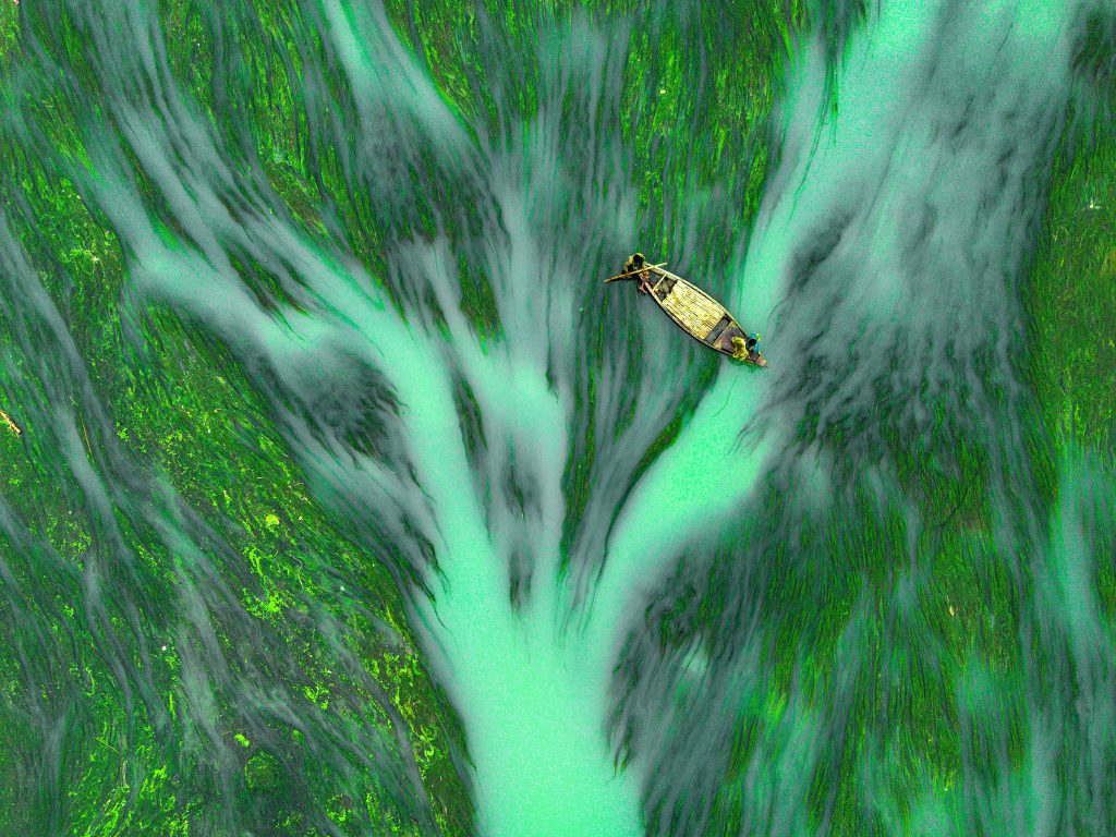 Fishing in Algae River