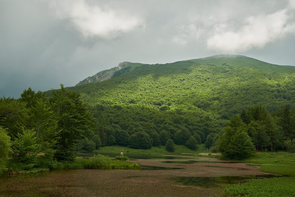 Le verdeggianti faggete del Lago Calamone
