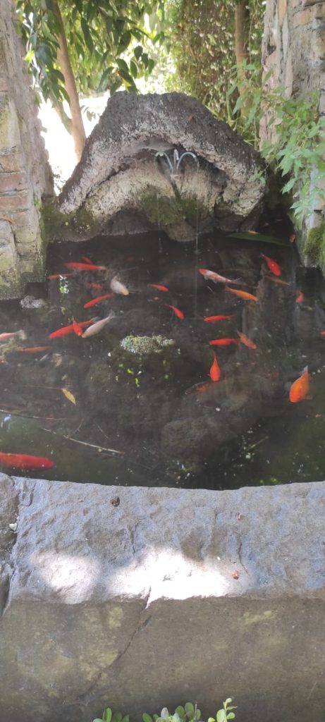 Fontana con piccoli rubini