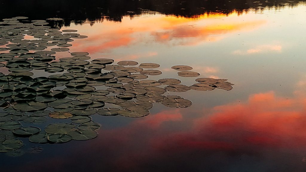 Reflections