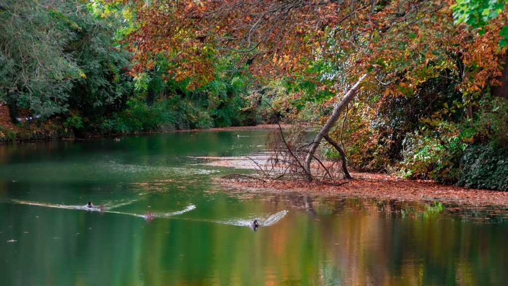 Clean and natural rivers