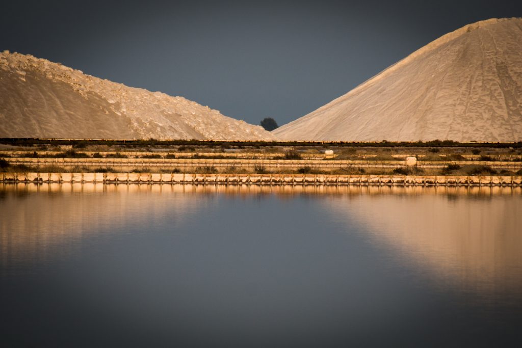 La ricchezza del sale