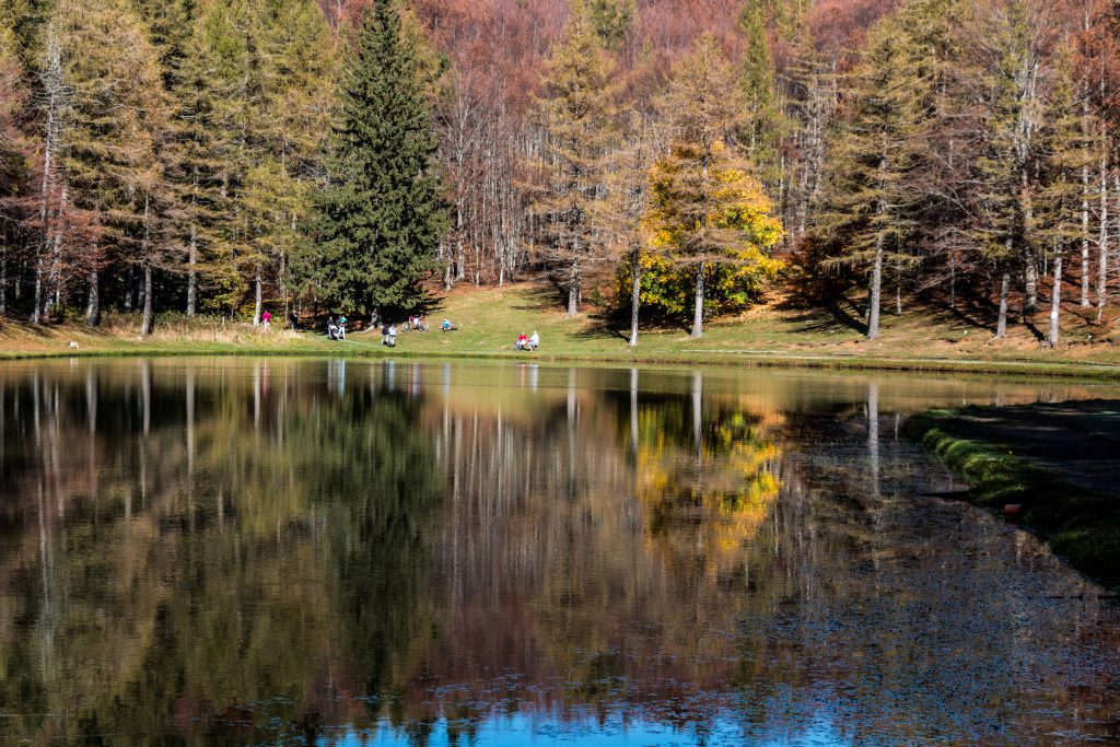 Riflessi