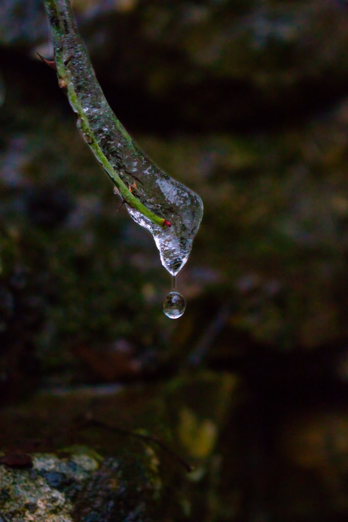 A drop of water
