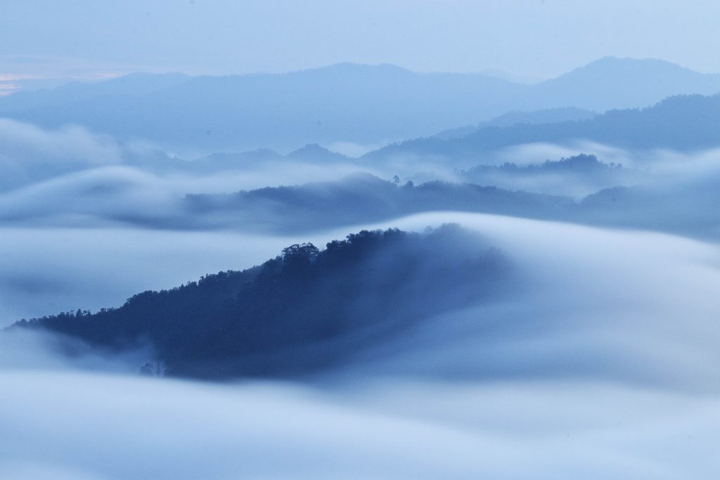 Misty Day