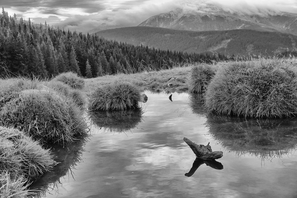 Mountain lake.
