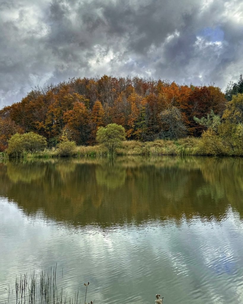 Riflessi