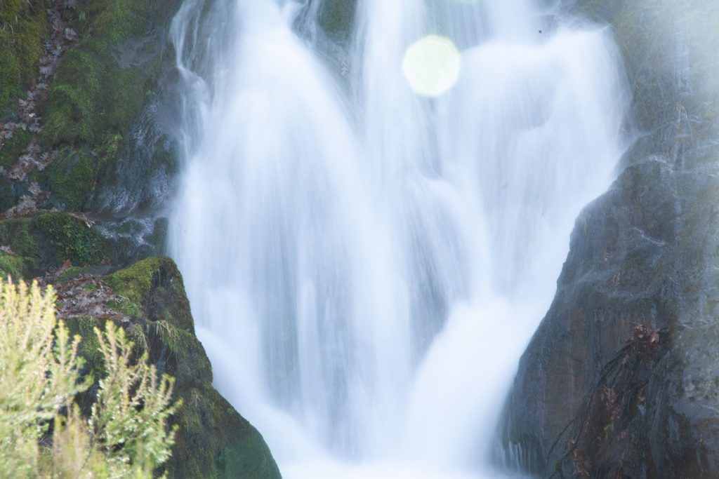In and out of the body: water