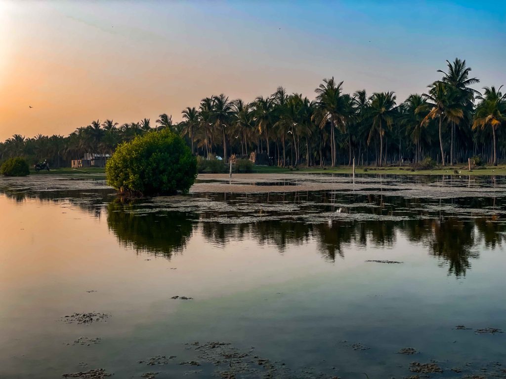 Tranquil reflection: A tropical Oasis at Dusk