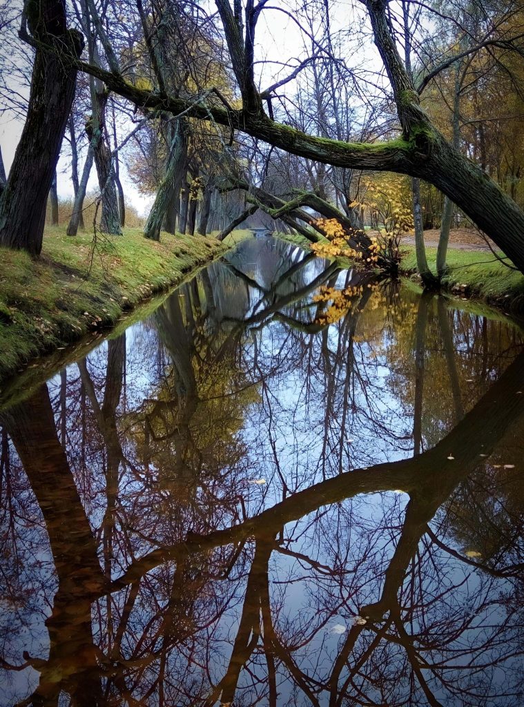 In the reflection