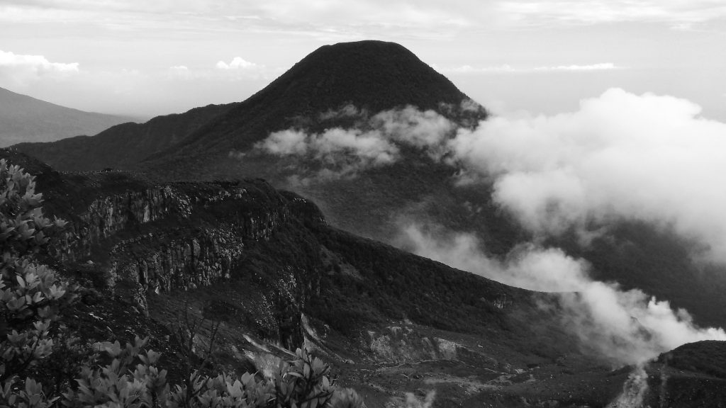 Misty Pangrango