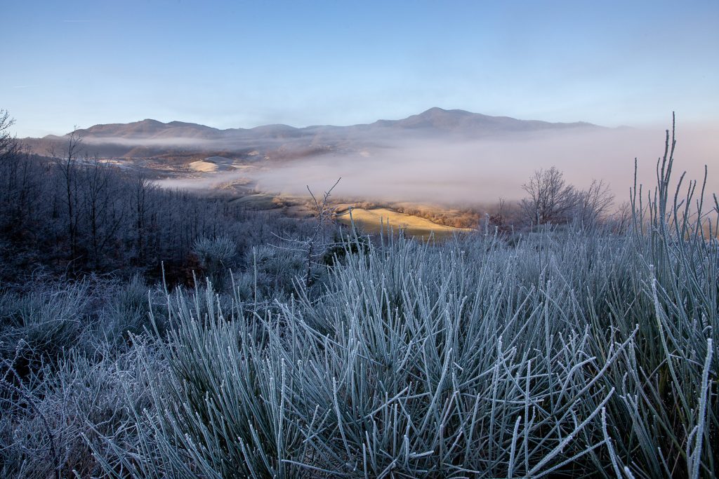 CONFINE FRA  LA NEBBIA E IL SERENO