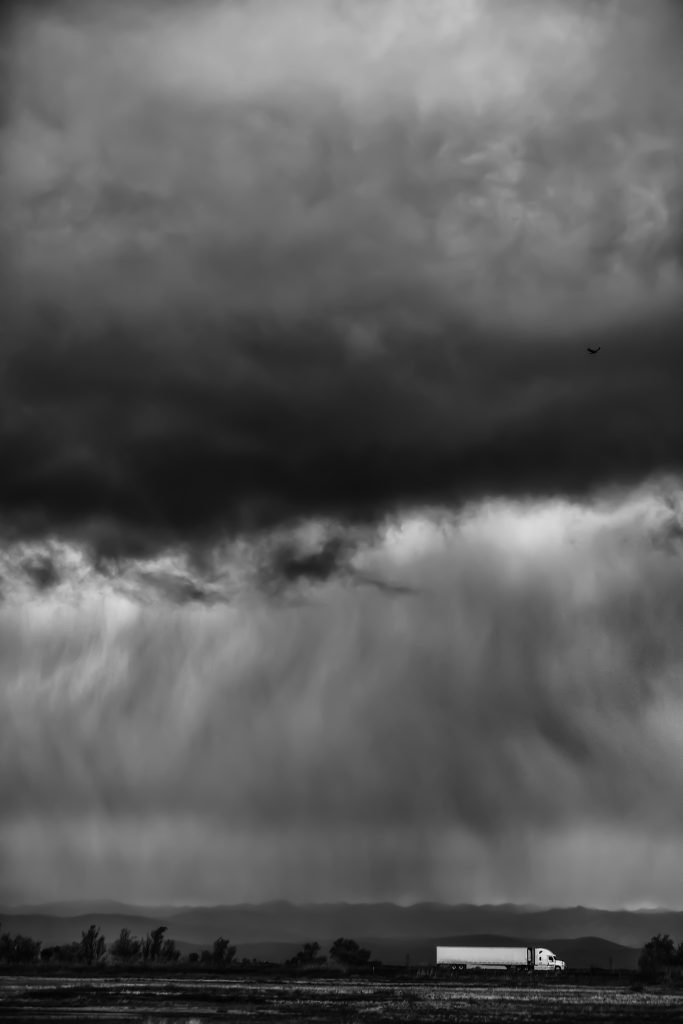 Traversing the Storm, Pacific Coast Flyway