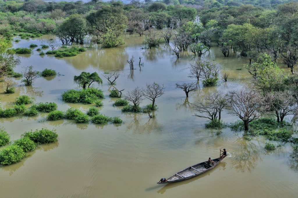 Ratargul Swamp Forest In Bangladesh