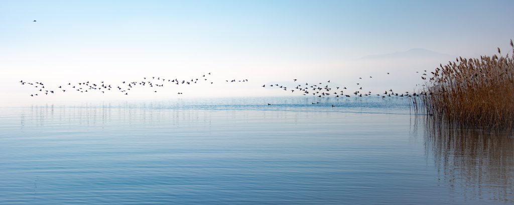 OHRID’S HEAVEN