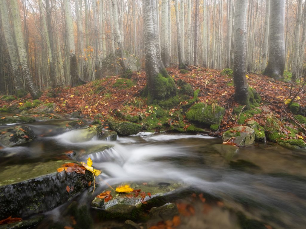 La natura mi stupisce