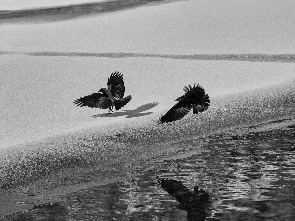 SULLE RIVE DEL TORRENTE LYS