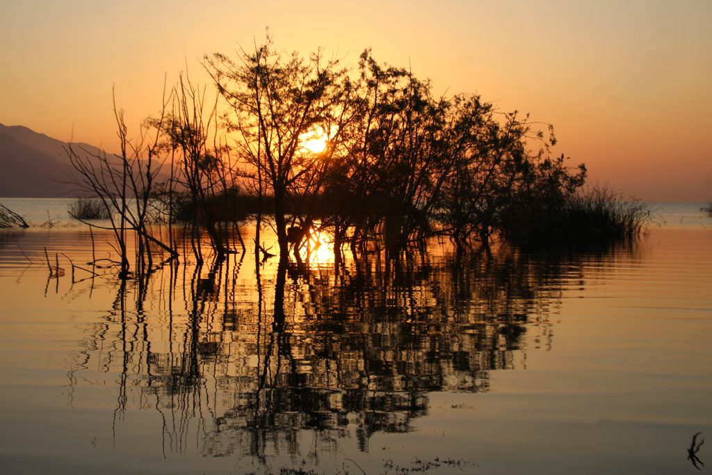 SUNRISE