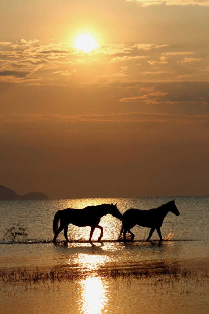 SUNRISE 2