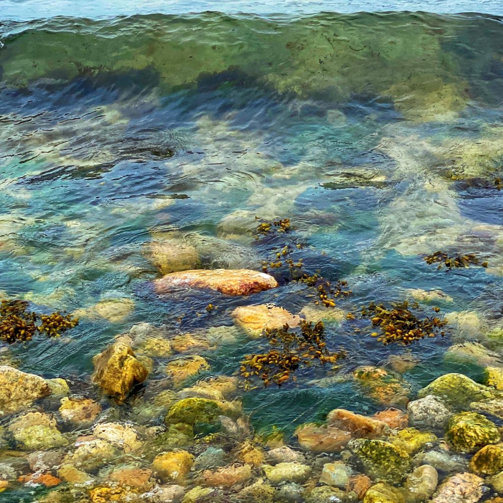 Woods Hole Wave