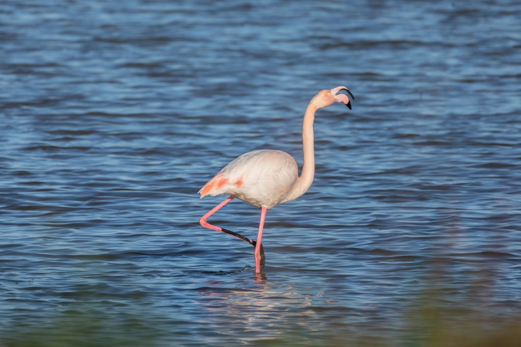 Bellezza in acqua