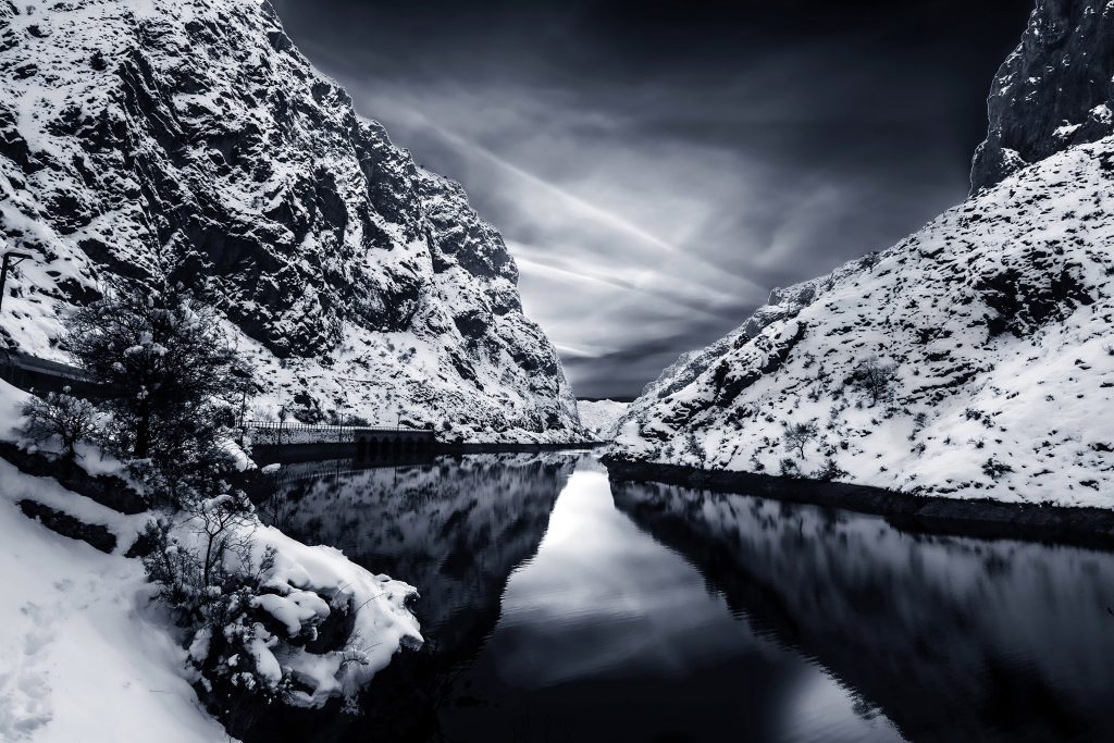 Nature_1