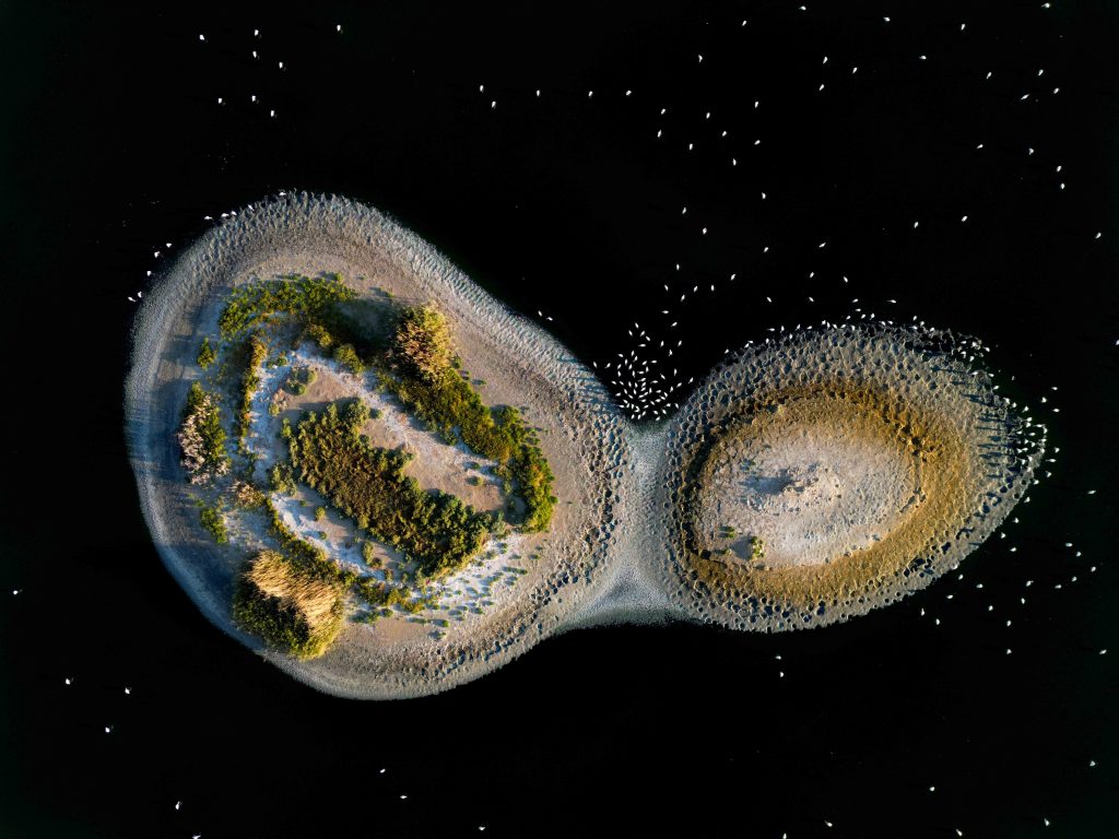 flamıngo ısland
