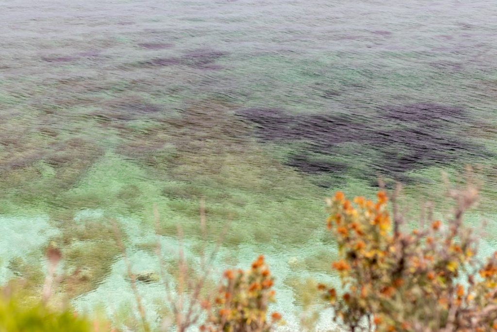 Il Mare