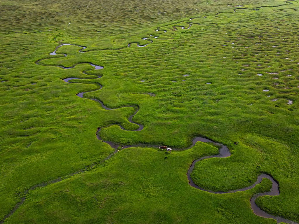 Nature_3