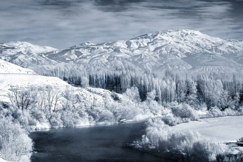 Nature_2