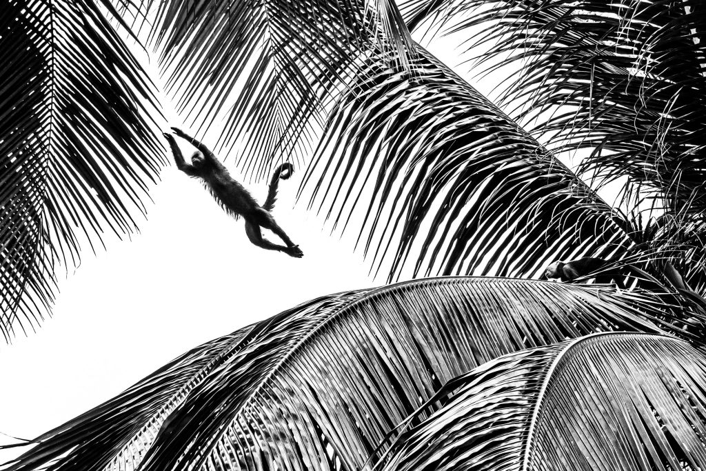 Jump