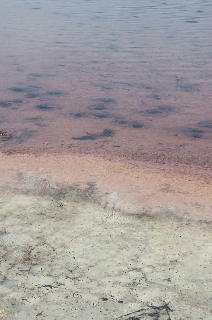 Acqua e Sale, Marte e Terra