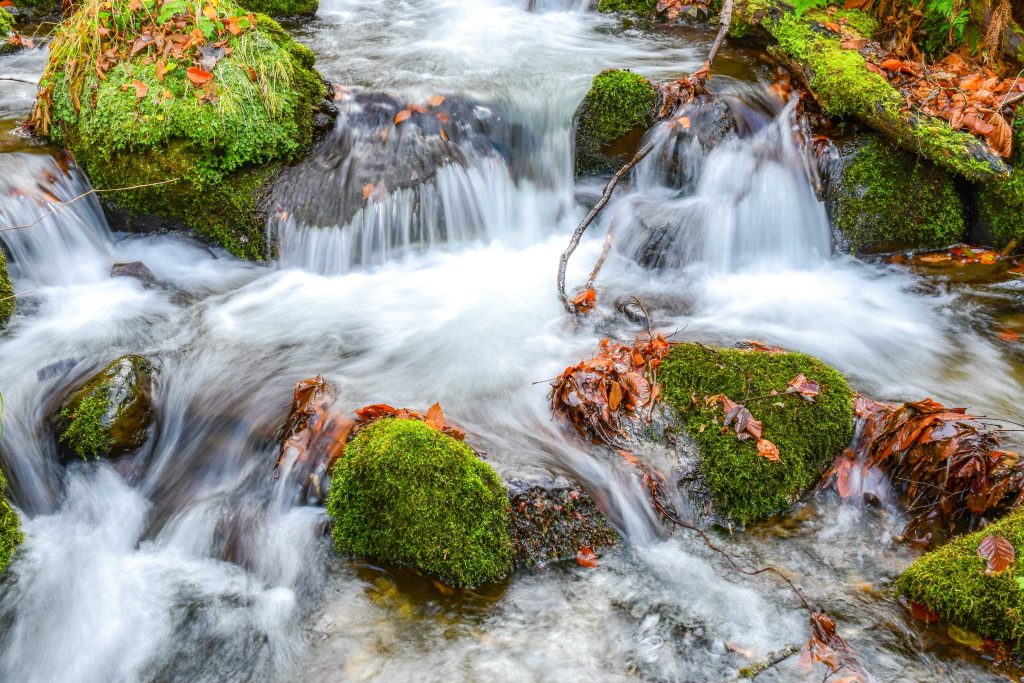 Gushing waters of Oirase Gorge