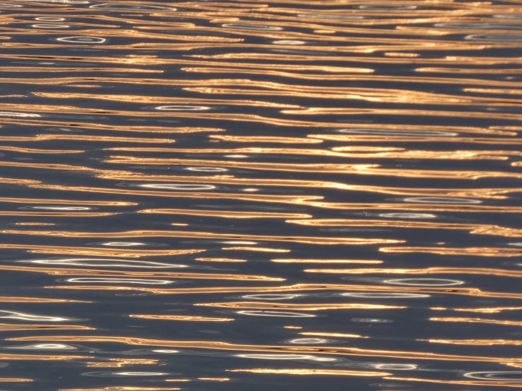 Riflessi del tramonto sulla laguna