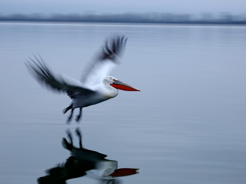 Landing