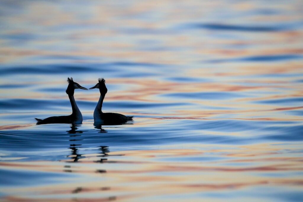 acqua-mab-foto1