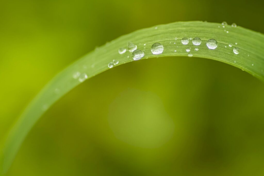 acqua-mab-foto2